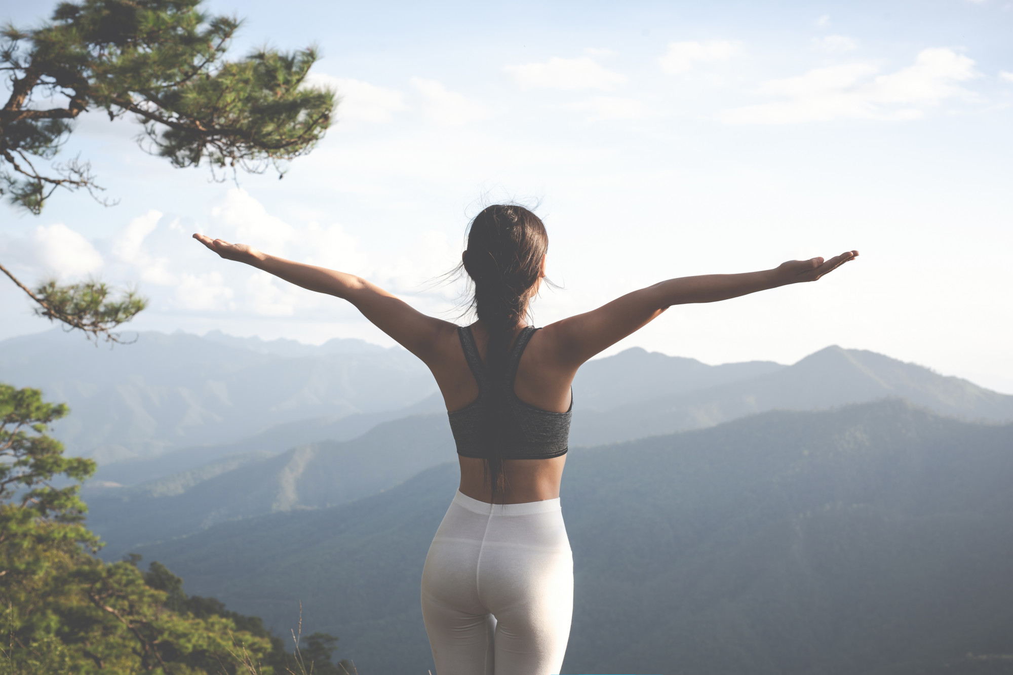 Wellness